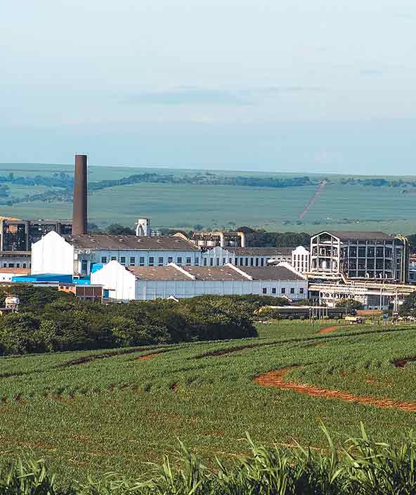 Sugarcane mill São Martinho