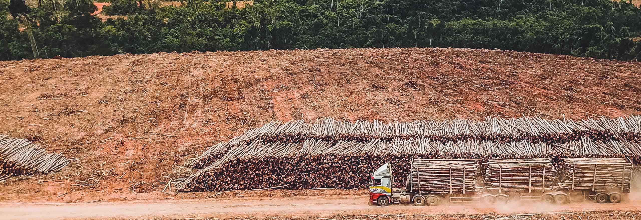 Holztransporter 