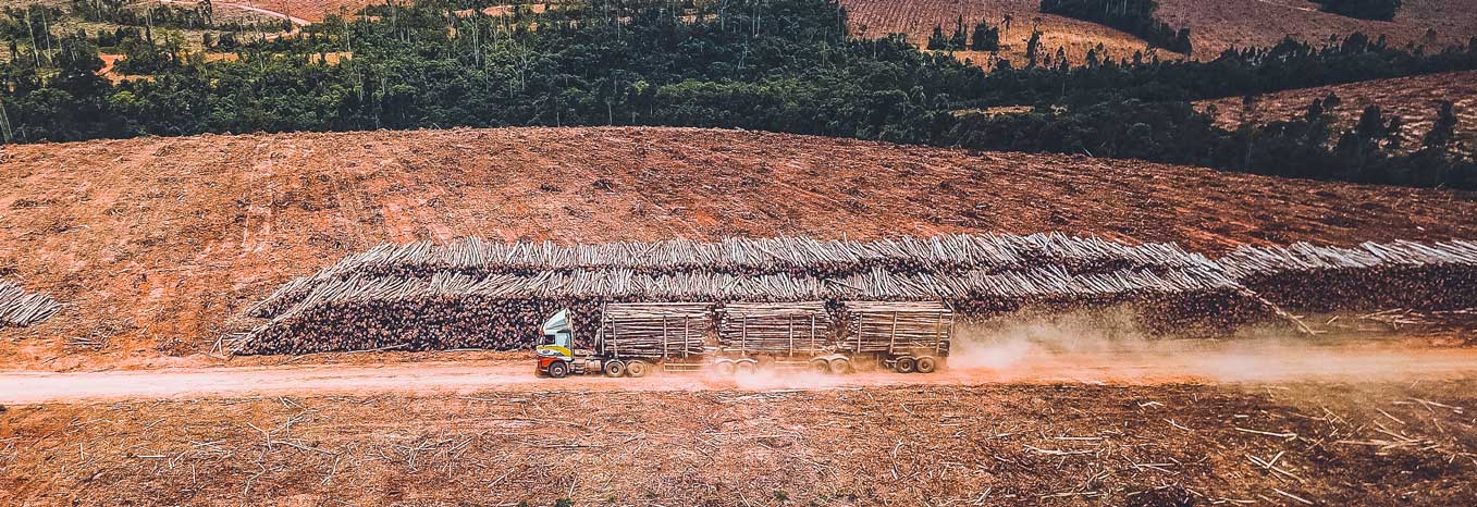 camión cargando madera